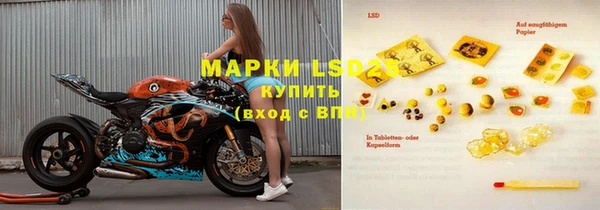 молекула духа Богданович