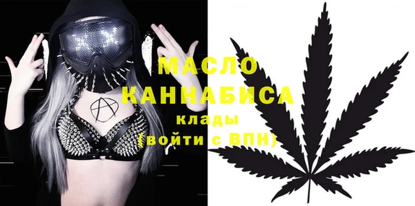 молекула духа Богданович
