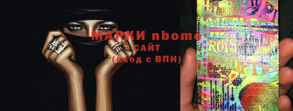 молекула духа Богданович