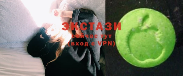 молекула духа Богданович
