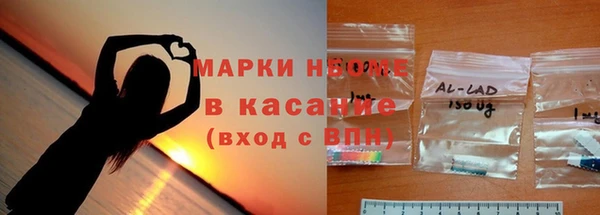 молекула духа Богданович