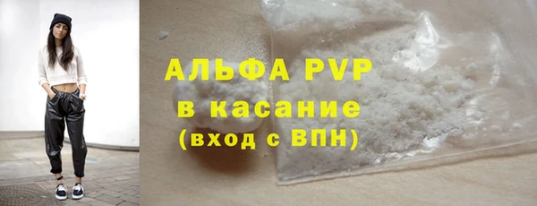 молекула духа Богданович