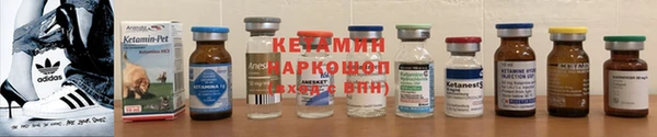 молекула духа Богданович