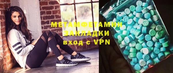 молекула духа Богданович
