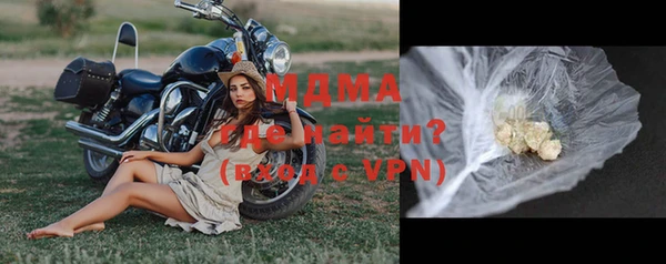 молекула духа Богданович