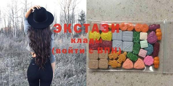 молекула духа Богданович