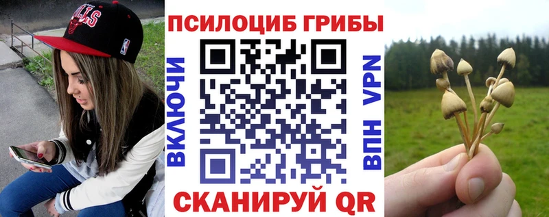 где купить   мега как зайти  Галлюциногенные грибы Magic Shrooms  Ковдор 